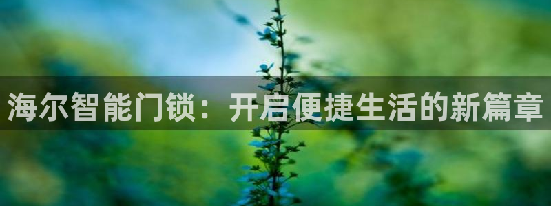 jdb yes download：海尔智能门锁：开启便捷生活