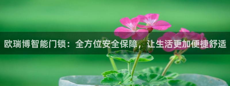 JDB电子能有多假：欧瑞博智能门锁：全方位安全保障，让生活更