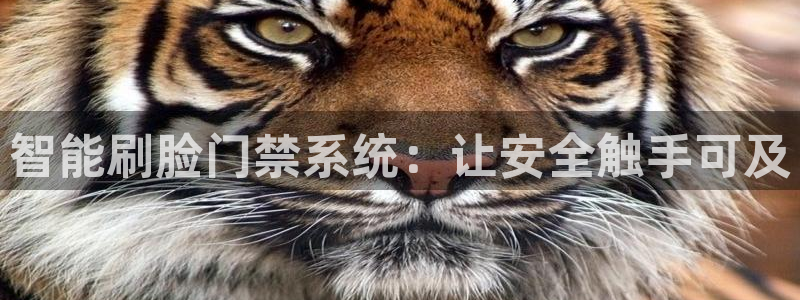 jdb哪个容易进免费游戏