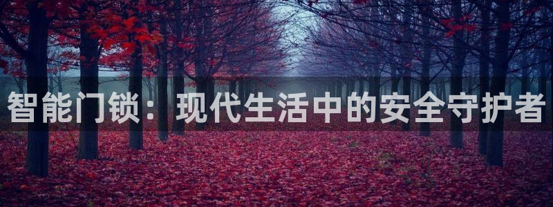 jdb游戏排行：智能门锁：现代生活中的安全守护者
