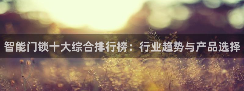 jdb entertainment：智能门锁十大综合排行榜：