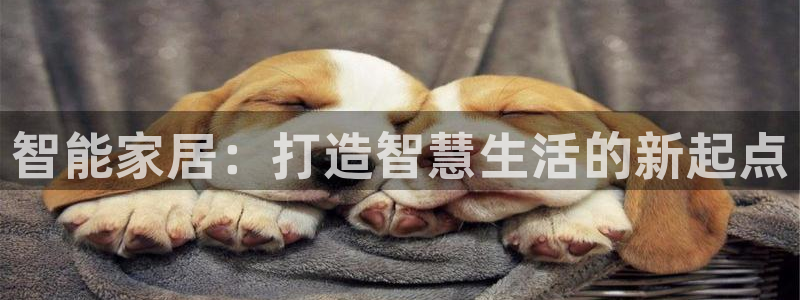 jdb电子官网攒l y7 9。cn：智能家居：打造智慧生活的
