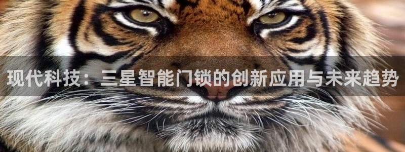 电子游戏平台jdb：现代科技：三星智能门锁的创新应用与未来趋