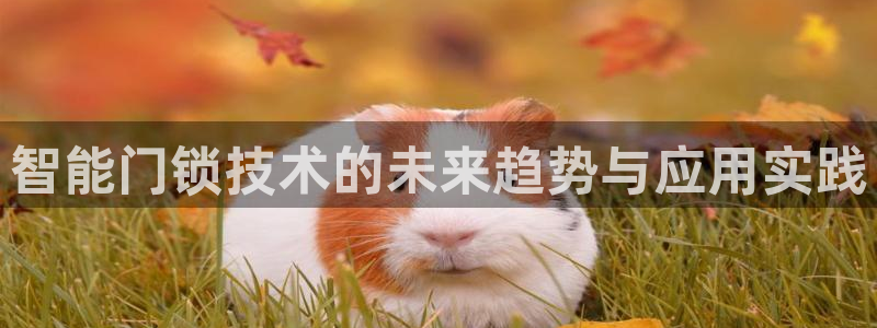 jdb试玩平台：智能门锁技术的未来趋势与应用实践
