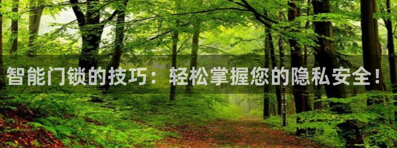 jdb夺宝试玩：智能门锁的技巧：轻松掌握您的隐私安全！