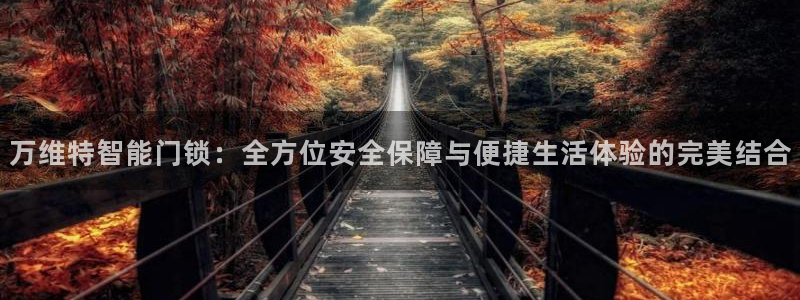 jdb电子中jp大奖：万维特智能门锁：全方位安全保障与便捷生