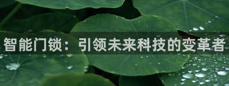 jdba1.3下载：智能门锁：引领未来科技的变革者