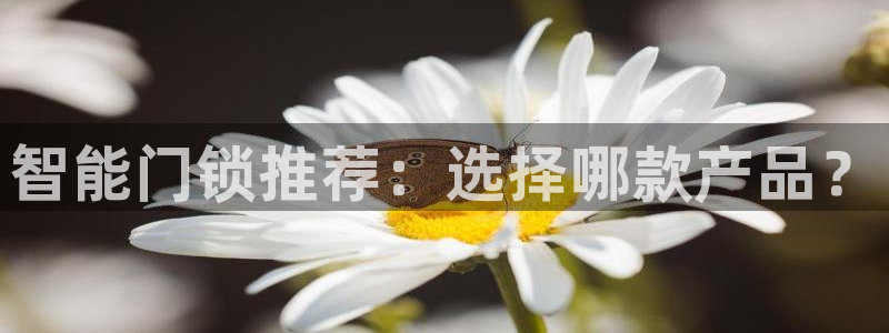 jdbc在哪下载：智能门锁推荐：选择哪款产品？