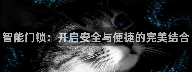 jdbc注册与登录：智能门锁：开启安全与便捷的完美结合