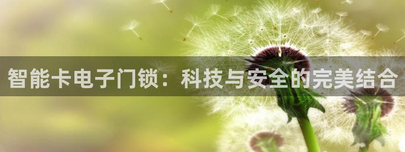 jdb电子官网攒l y7 9。cn：智能卡电子门锁：科技与安