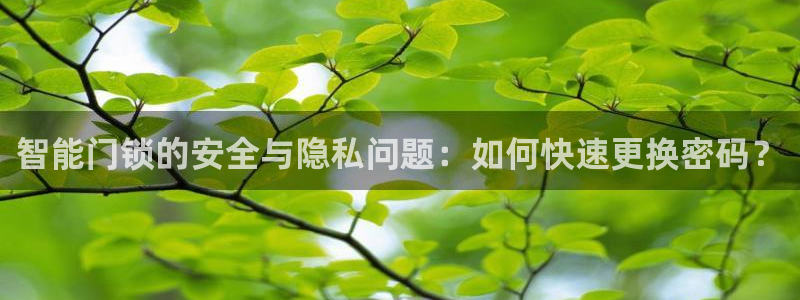 jdb的jp彩金游戏视频：智能门锁的安全与隐私问题：如何快速