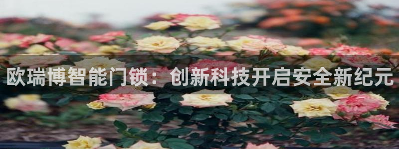 Jdb电子试玩：欧瑞博智能门锁：创新科技开启安全新纪元