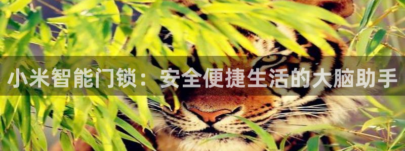 jdb游戏拿破仑爆奖视频：小米智能门锁：安全便捷生活的大脑助