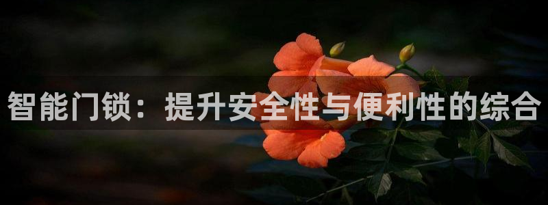 jdb开运夺宝爆分：智能门锁：提升安全性与便利性的综合
