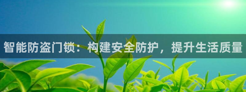 jdb变脸2：智能防盗门锁：构建安全防护，提升生活质量