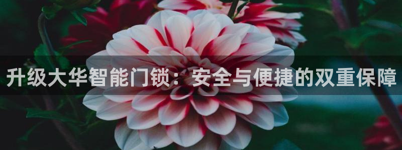 jdb电子游戏辅助软件：升级大华智能门锁：安全与便捷的双重保