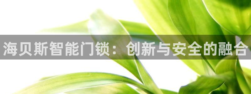 jdb电子游戏怎么玩：海贝斯智能门锁：创新与安全的融合