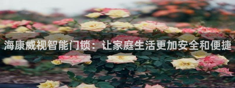 jdb游戏星期几放水：海康威视智能门锁：让家庭生活更加安全和