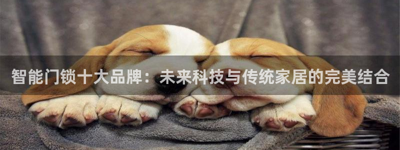 jdb电子麻将胡了：智能门锁十大品牌：未来科技与传统家居的完