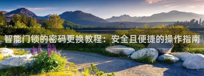 jdb电子哪个游戏好：智能门锁的密码更换教程：安全且便捷的操