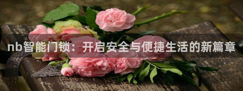 JDB电子龙舞：nb智能门锁：开启安全与便捷生活的新篇章