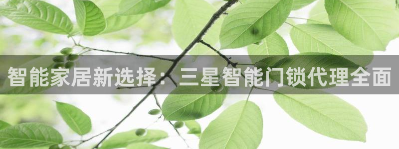 jdb电子有多坑：智能家居新选择：三星智能门锁代理全面