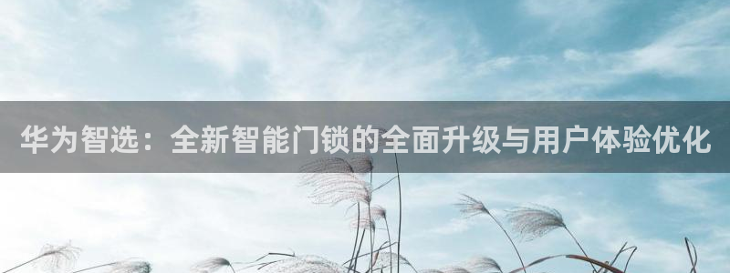jdb夺宝 试玩：华为智选：全新智能门锁的全面升级与用户体验