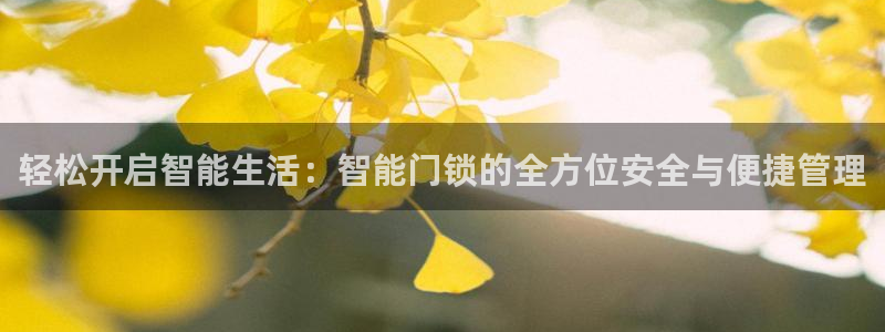 jdb游戏大全图片：轻松开启智能生活：智能门锁的全方位安全与