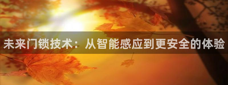jdb电子官网下载：未来门锁技术：从智能感应到更安全的体验