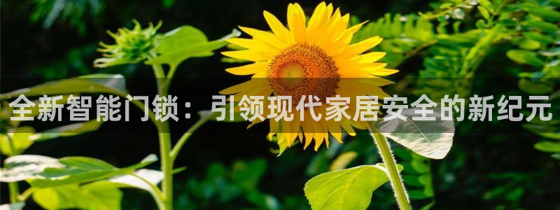 jdb电子平台98db,in：全新智能门锁：引领现代家居安全