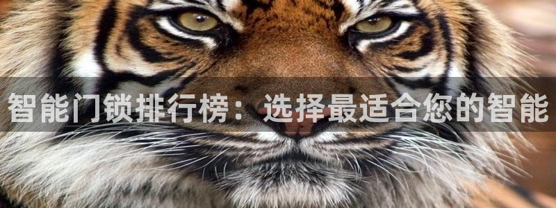 jdb变脸1和2有什么区别：智能门锁排行榜：选择最适合您的智
