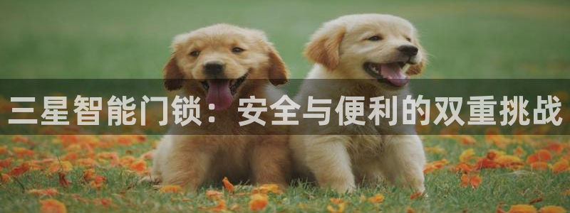 jdb电子游戏注册：三星智能门锁：安全与便利的双重挑战