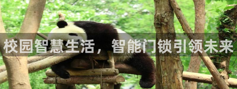 JDB游戏官方网站 - JDB电子平台地址大全：校园智慧生活