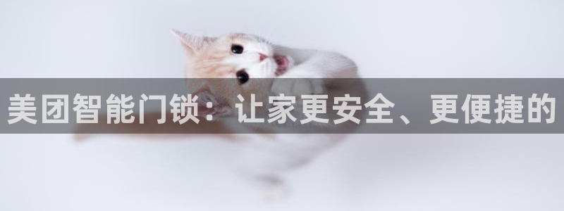 jdb五龙捕鱼暨ly79典cn：美团智能门锁：让家更安全、更