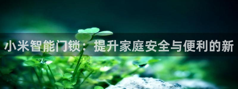 jdbc注册驱动详解：小米智能门锁：提升家庭安全与便利的新