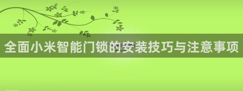 JDB电子公司：全面小米智能门锁的安装技巧与注意事项