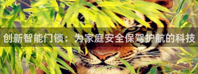 在哪下载jdb五龙捕鱼：创新智能门锁：为家庭安全保驾护航的科