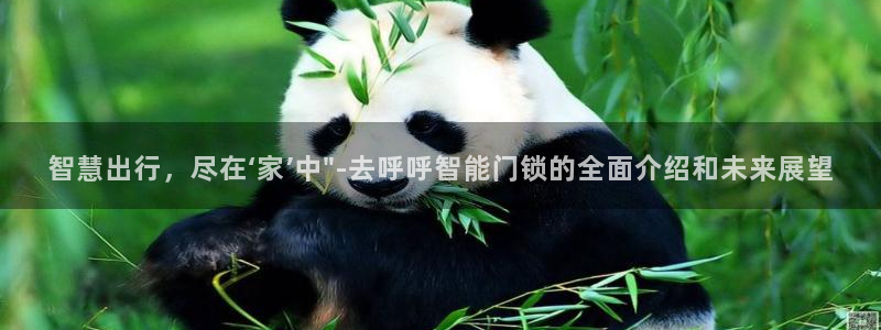 jdb变脸2：智慧出行，尽在‘家’中\