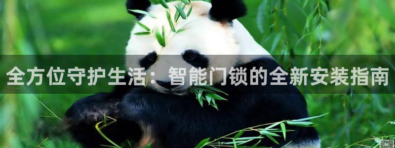 jdb电子飞鸟派对豪华版：全方位守护生活：智能门锁的全新安装