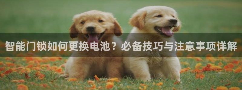 jdb电子夺宝游戏平台：智能门锁如何更换电池？必备技巧与注意