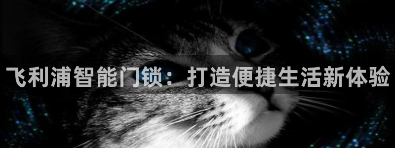 jdb电子爆奖娱乐游戏：飞利浦智能门锁：打造便捷生活新体验