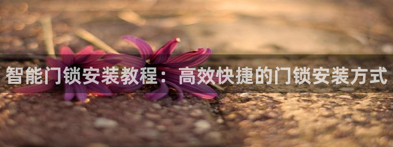 jdb电子游戏是哪个国家