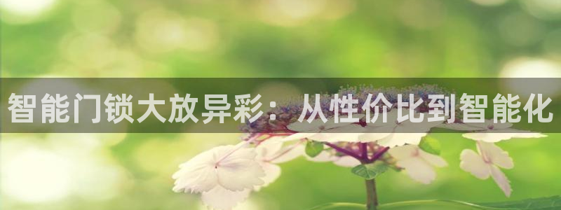 jdb电子金刚大奖视频：智能门锁大放异彩：从性价比到智能化