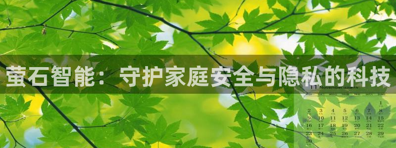 jdb电子 飞鸟派对：萤石智能：守护家庭安全与隐私的科技