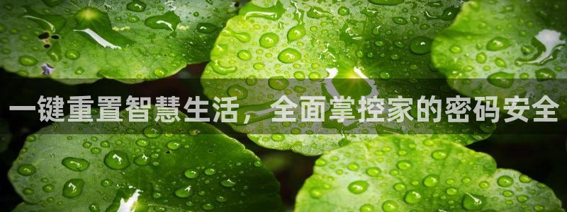 jdb电子放水规律：一键重置智慧生活，全面掌控家的密码安全