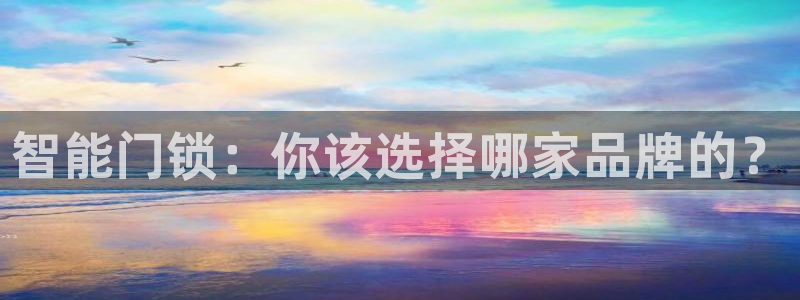 jdb电子怎么样：智能门锁：你该选择哪家品牌的？