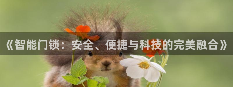 jdb富豪哥游戏中奖图片：《智能门锁：安全、便捷与科技的完美