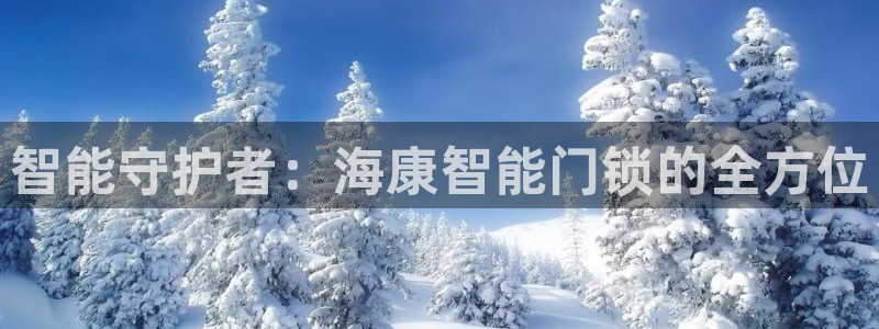 jdbyg game app：智能守护者：海康智能门锁的全方