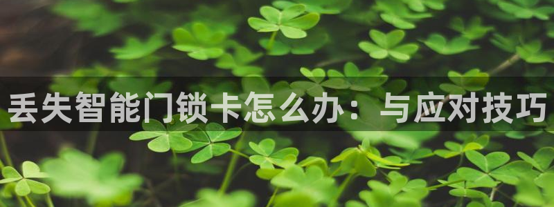 jdb电子游戏变脸：丢失智能门锁卡怎么办：与应对技巧