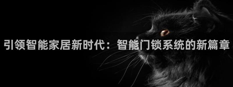 jdb电子游戏可以玩吗：引领智能家居新时代：智能门锁系统的新